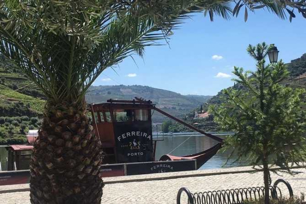 From Porto Douro Valley Full Day Tour With Wine Tasting River Cruise