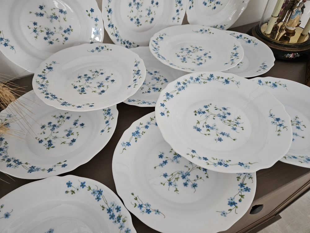 Assiettes Arcopal Vintage