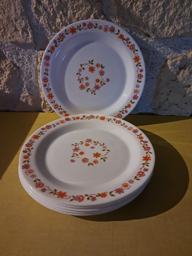 Assiettes plates Arcopal modèle Scania