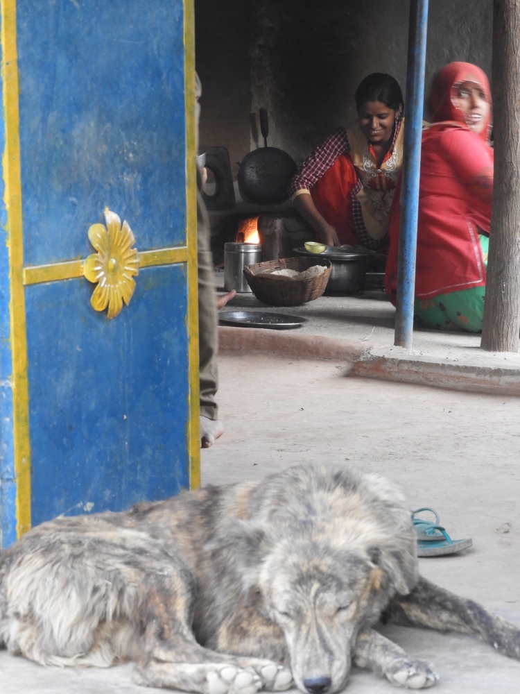 100% gratuit indien datant site