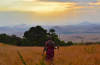 Kenya: Authentic Maasai Village Tour