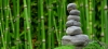 Relaxing & Therapeutic Massage