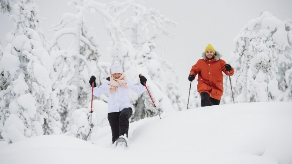 Rovaniemi Snowshoeing Adventure in the Arctic