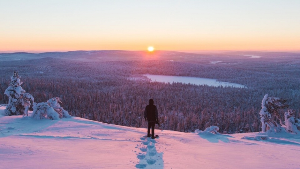 Rovaniemi Snowshoeing Adventure in the Arctic