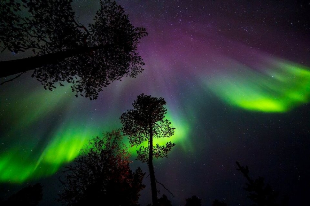 Rovaniemi Northern Lights Photography Tour