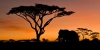 6 Days Kenya Lodge Safari Package
