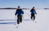 Lapland Skiing: Half-day Lapland Cross-Country Skiing Tour from Rovaniemi