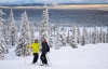 Lapland Skiing: Half-day Lapland Cross-Country Skiing Tour from Rovaniemi