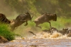 10 Days Africa Road Trip Wildlife Safari Holiday Adventures 