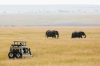 6 Days Kenya Luxury Lodge Safari