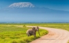6 Days Kenya Lodge Safaris
