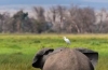 6 Days Kenya Luxury Lodge Safari