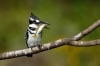 10 Days Kenya Birding Tour Safari Holidays