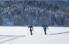 Lapland Skiing: Half-day Lapland Cross-Country Skiing Tour from Rovaniemi