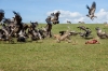 13 Days Masai Mara Serengeti Wildlife Adventure Safari