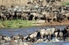 8 Days Africa Safari Vacation Packages