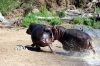 5 Days Budget Camping Kenya Safari Tours