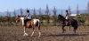 Nafplio Horse Riding: 2-hour Horse Riding Experience near Nafplio