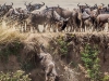 13 Days Masai Mara Serengeti Wildlife Adventure Safari