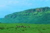 6 Days Masai Mara Lake Nakuru Budget Camping Safari