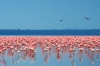 6 Days Kenya Lodge Safari Package