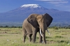 6 Days Kenya Lodge Safaris