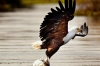 5 Days Kenya Wilderness Trails Safari Holiday Package