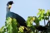 10 Days Kenya Birding Tour Safari Holidays