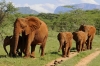 6 Days Kenya Luxury Lodge Safari