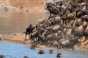 9 Days Africa Lodge Safari Package
