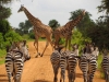  8 Days Kenya Camping Adventure Safaris