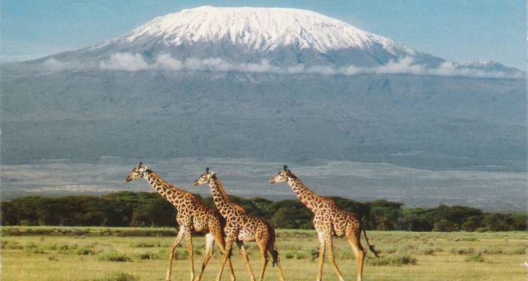 8 Days Kenya Luxury Lodge Safaris