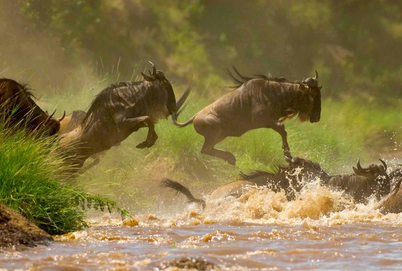10 Days Africa Road Trip Wildlife Safari Holiday Adventures 