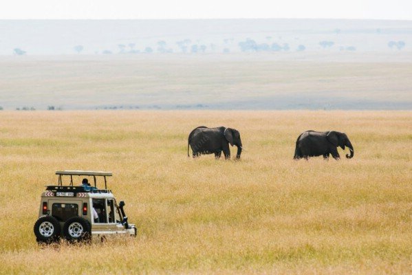 6 Days Kenya Luxury Lodge Safari