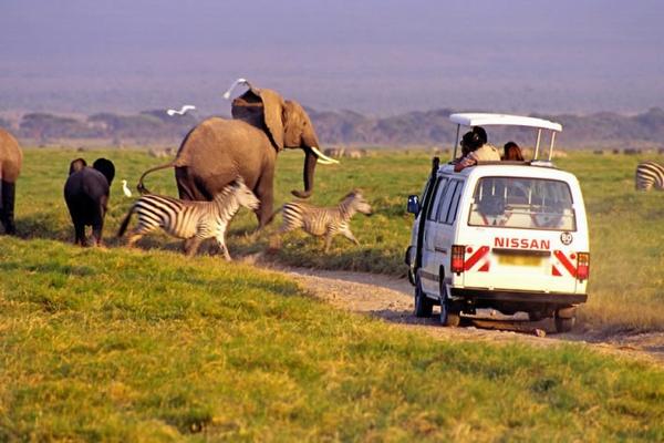 8 Days Africa Safari Vacation Packages