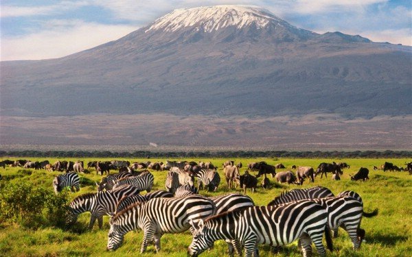 8 Days Africa Safari Vacation Packages