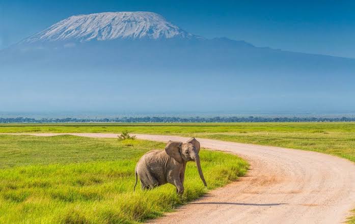 6 Days Kenya Lodge Safaris
