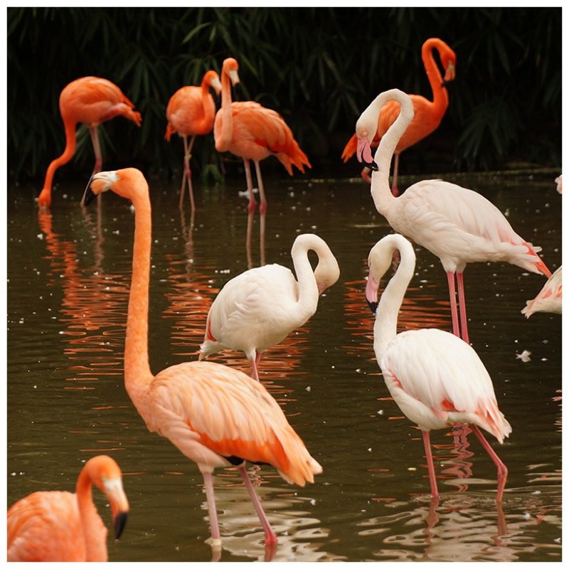  8 Days Kenya Camping Adventure Safaris