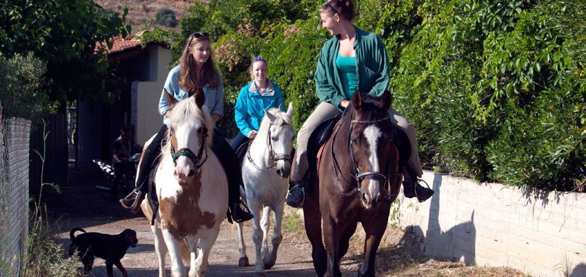 Nafplio Horse Riding: 2-hour Horse Riding Experience near Nafplio