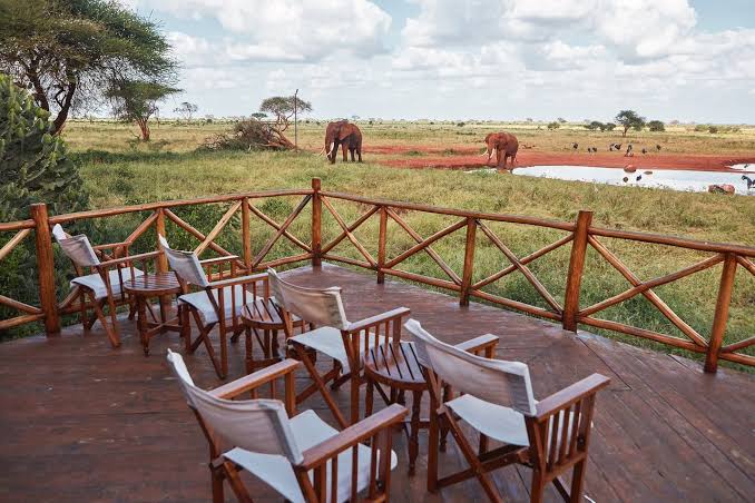 8 Days Solo Travelers Group Safari Holidays Tour Package