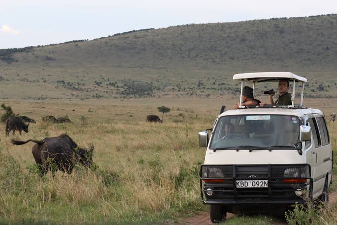 5 Days Kenya Wilderness Trails Safari Holiday Package