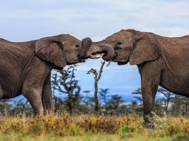  8 Days Kenya Camping Adventure Safaris