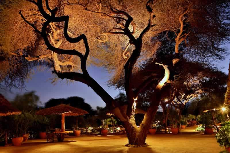 6 Days Kenya Luxury Lodge Safari