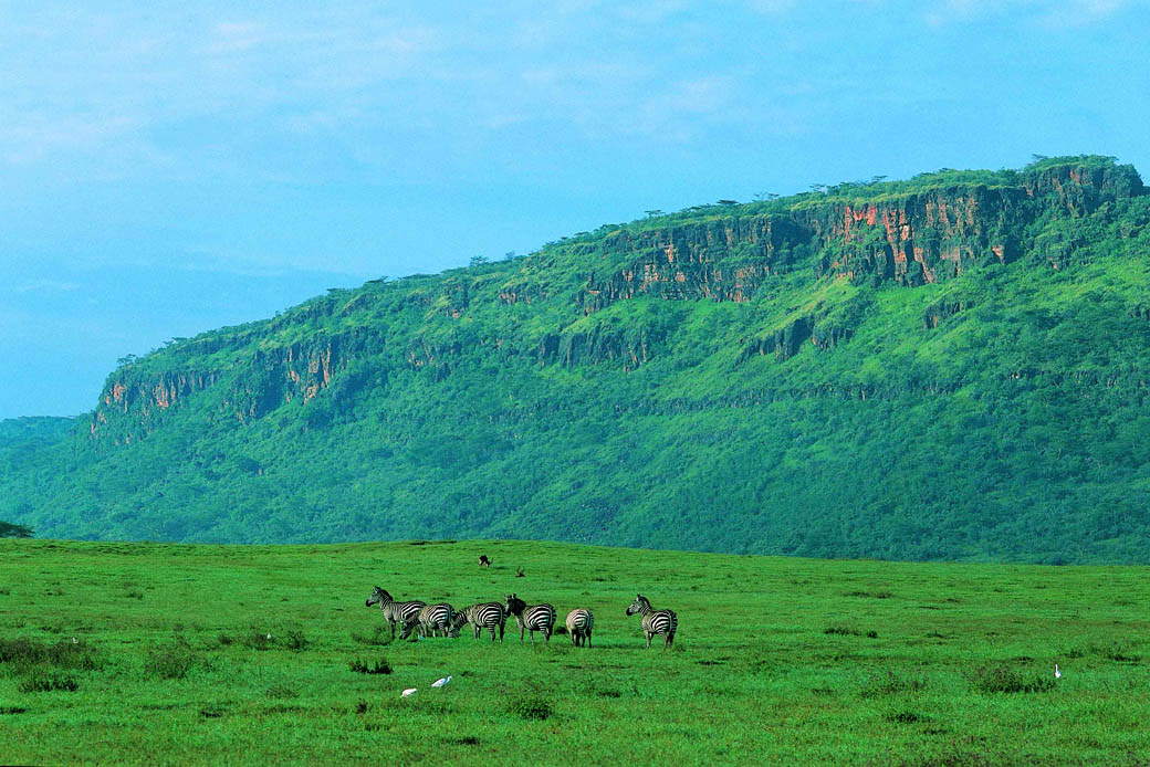 6 Days Masai Mara Lake Nakuru Budget Camping Safari