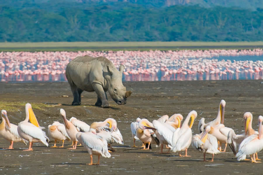 8 Days Kenya Camping Adventure Safaris