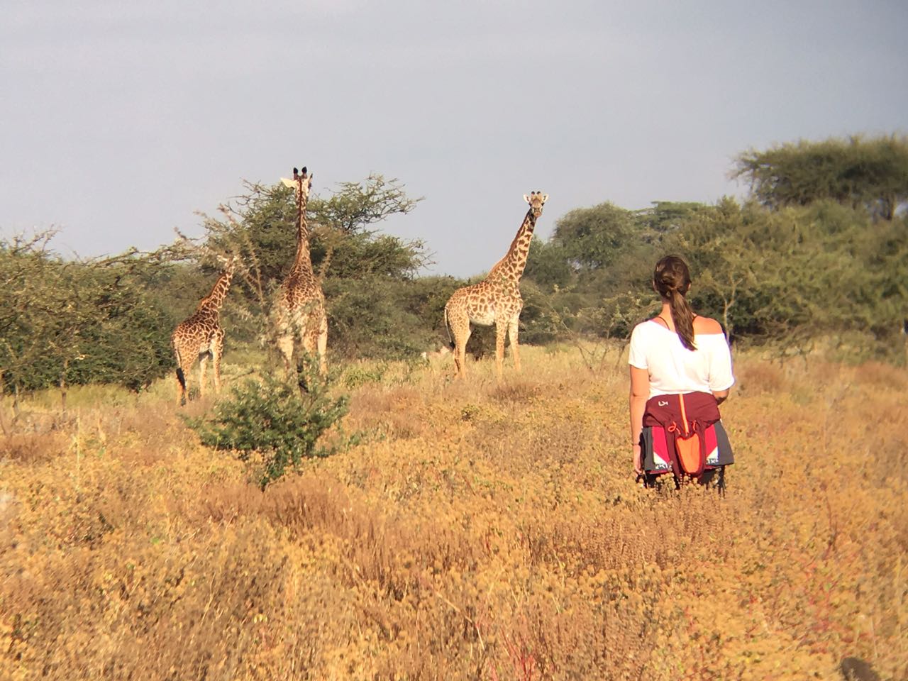 8 Days Africa Safari Vacation Packages