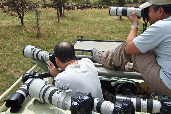 10 Days Kenya Birding Tour Safari Holidays