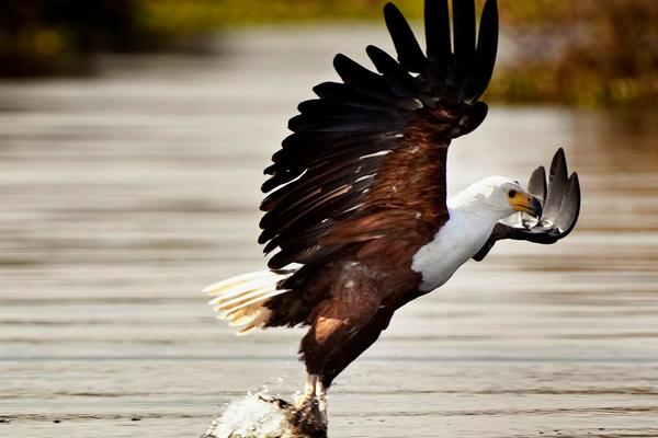 5 Days Kenya Wilderness Trails Safari Holiday Package