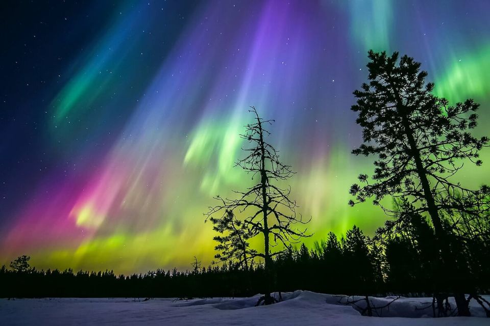 Rovaniemi: Half-day Northern Lights Photo Tour