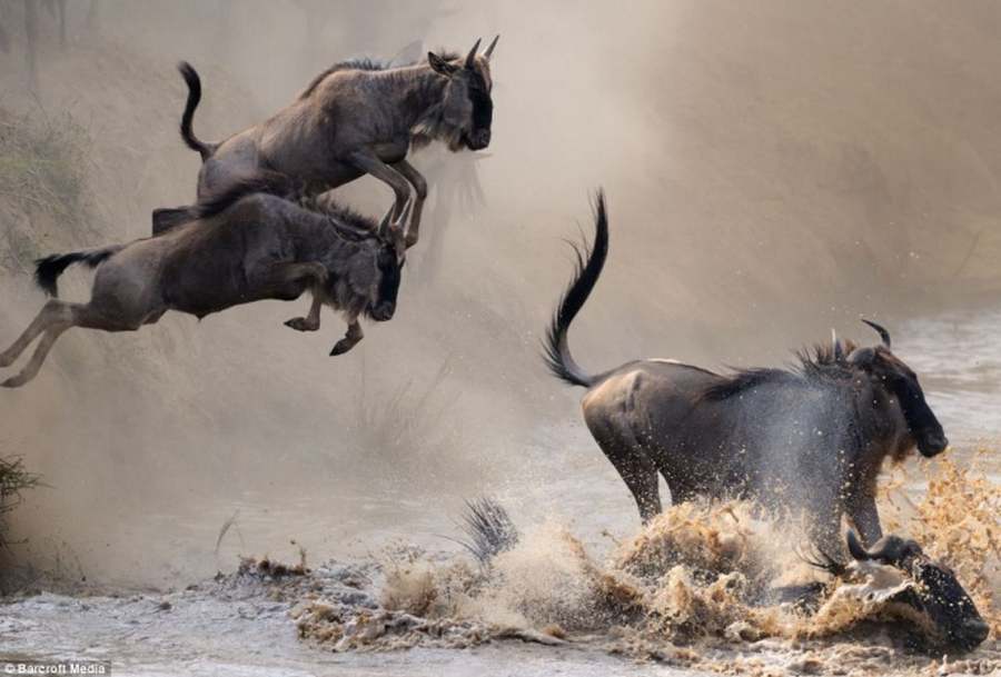  8 Days Kenya Camping Adventure Safaris